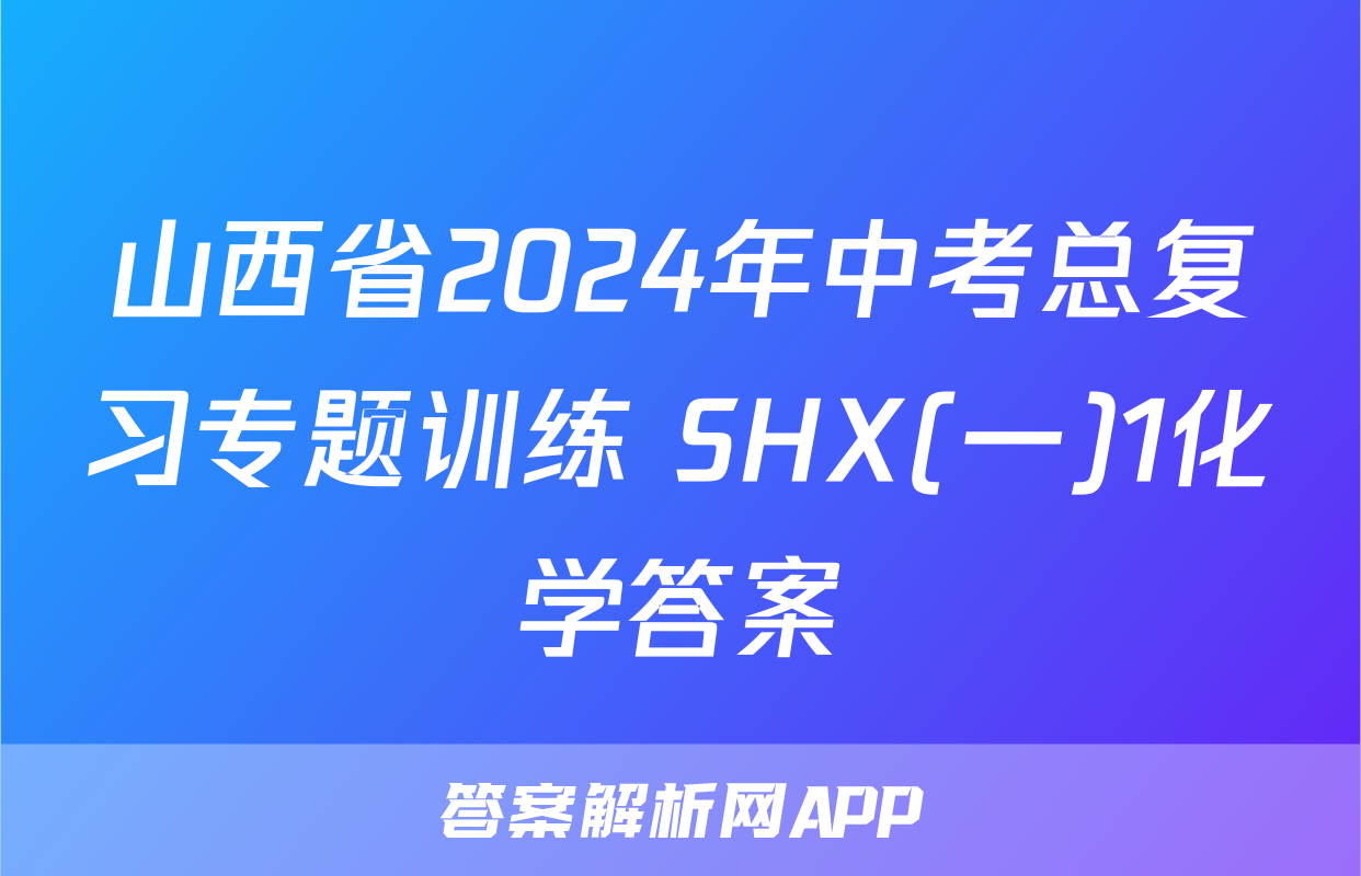 山西省2024年中考总复习专题训练 SHX(一)1化学答案