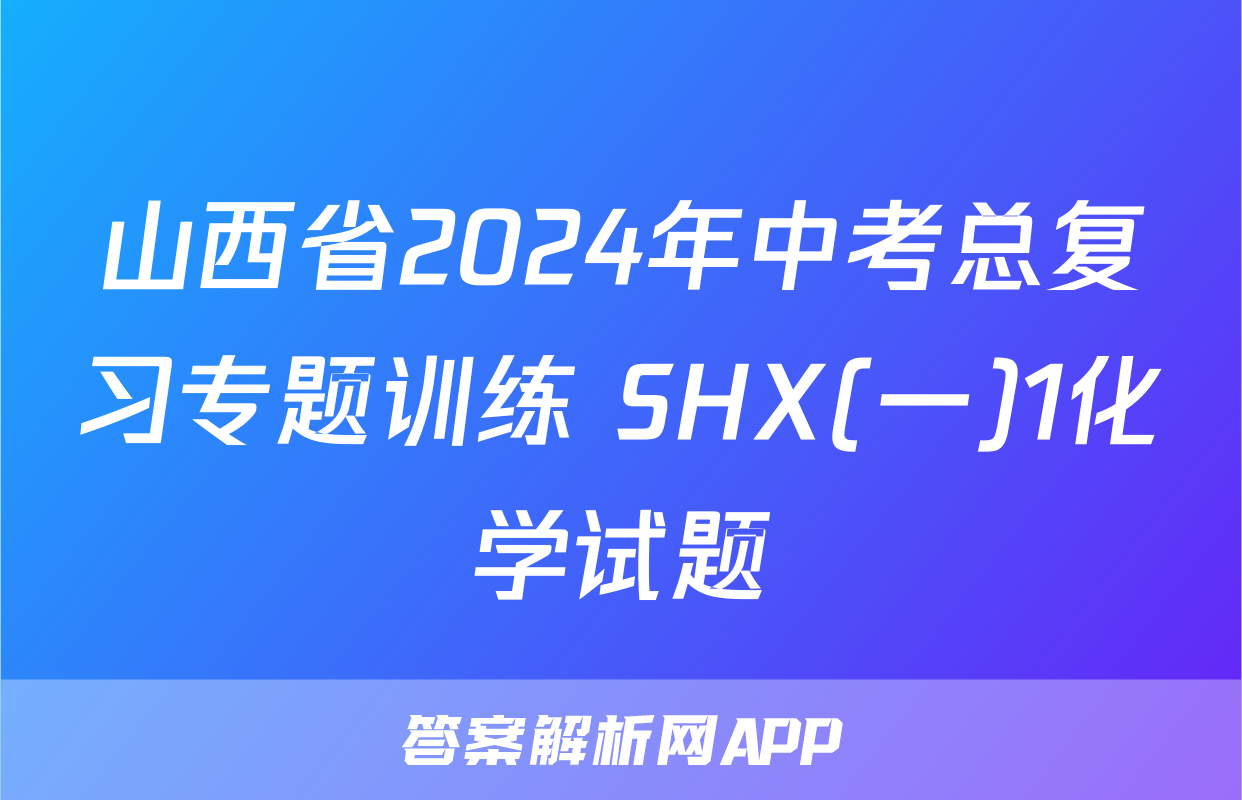 山西省2024年中考总复习专题训练 SHX(一)1化学试题
