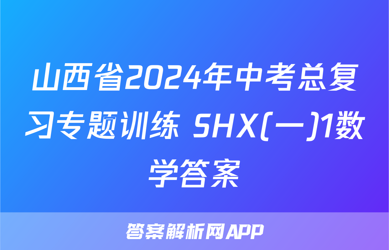 山西省2024年中考总复习专题训练 SHX(一)1数学答案