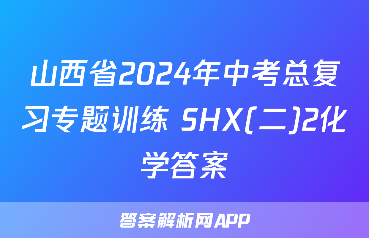 山西省2024年中考总复习专题训练 SHX(二)2化学答案
