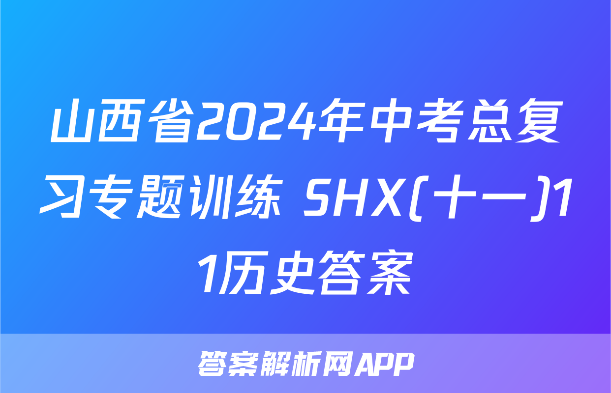 山西省2024年中考总复习专题训练 SHX(十一)11历史答案