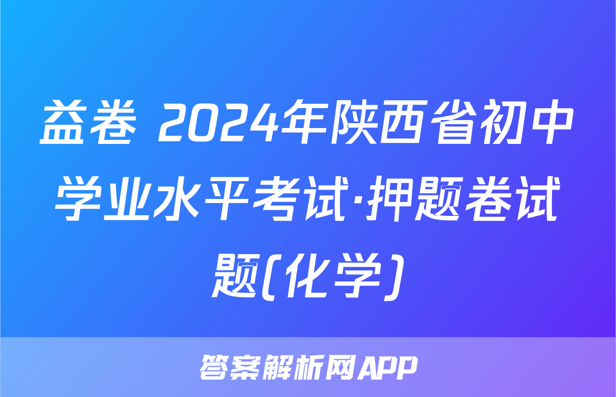益卷 2024年陕西省初中学业水平考试·押题卷试题(化学)