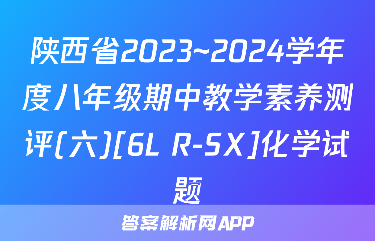 陕西省2023~2024学年度八年级期中教学素养测评(六)[6L R-SX]化学试题