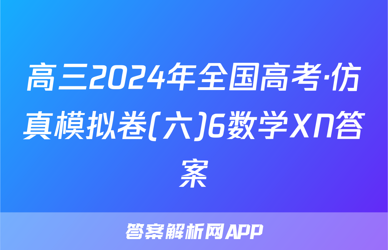 高三2024年全国高考·仿真模拟卷(六)6数学XN答案