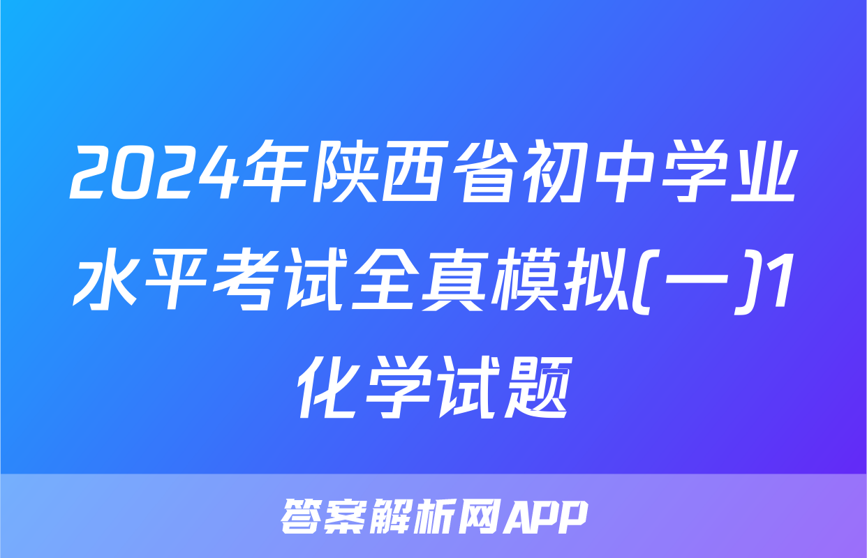2024年陕西省初中学业水平考试全真模拟(一)1化学试题