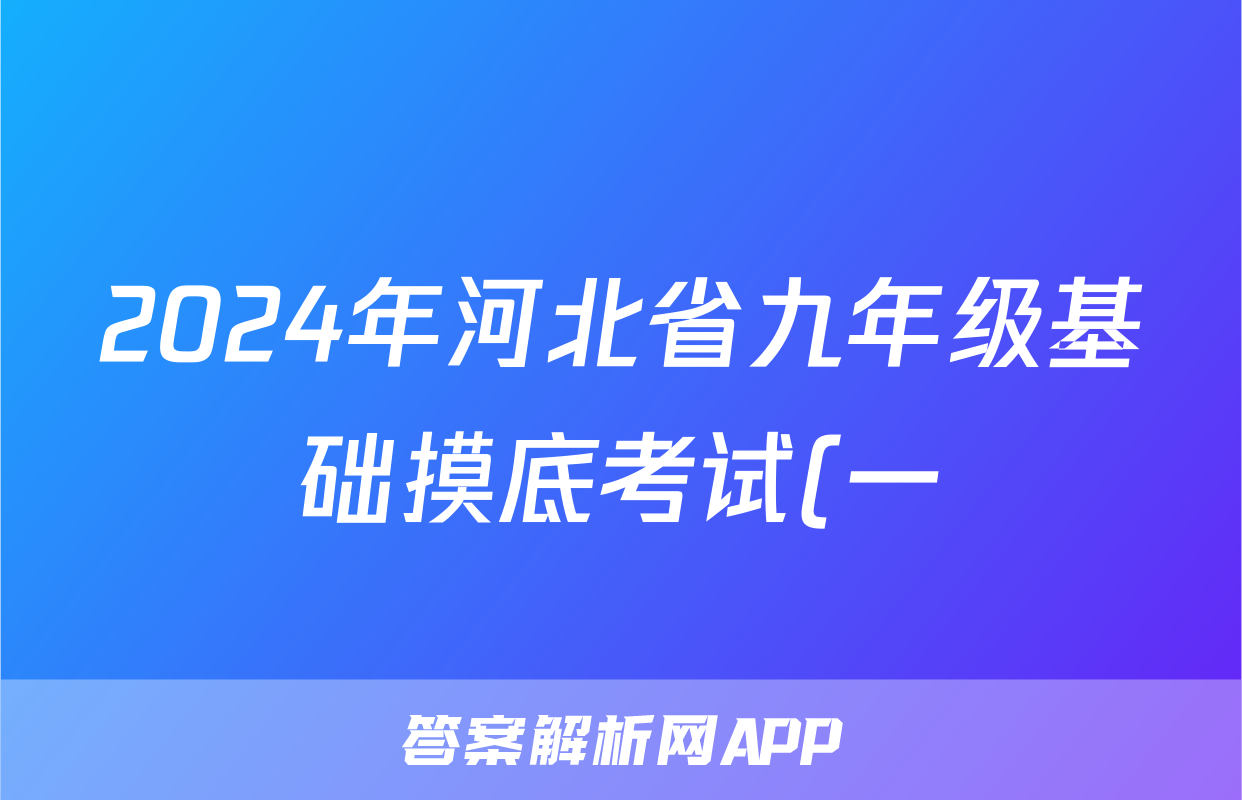 2024年河北省九年级基础摸底考试(一)理数答案