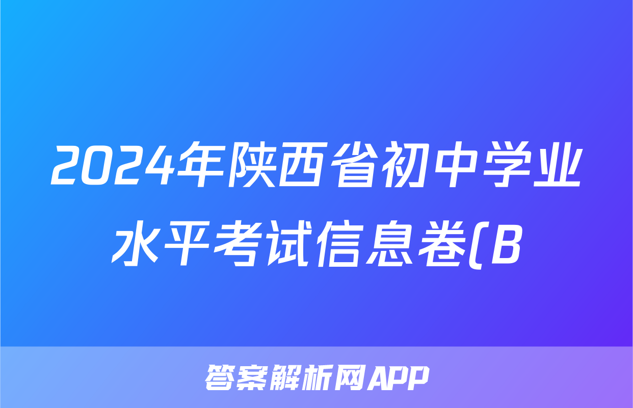 2024年陕西省初中学业水平考试信息卷(B)试题(化学)