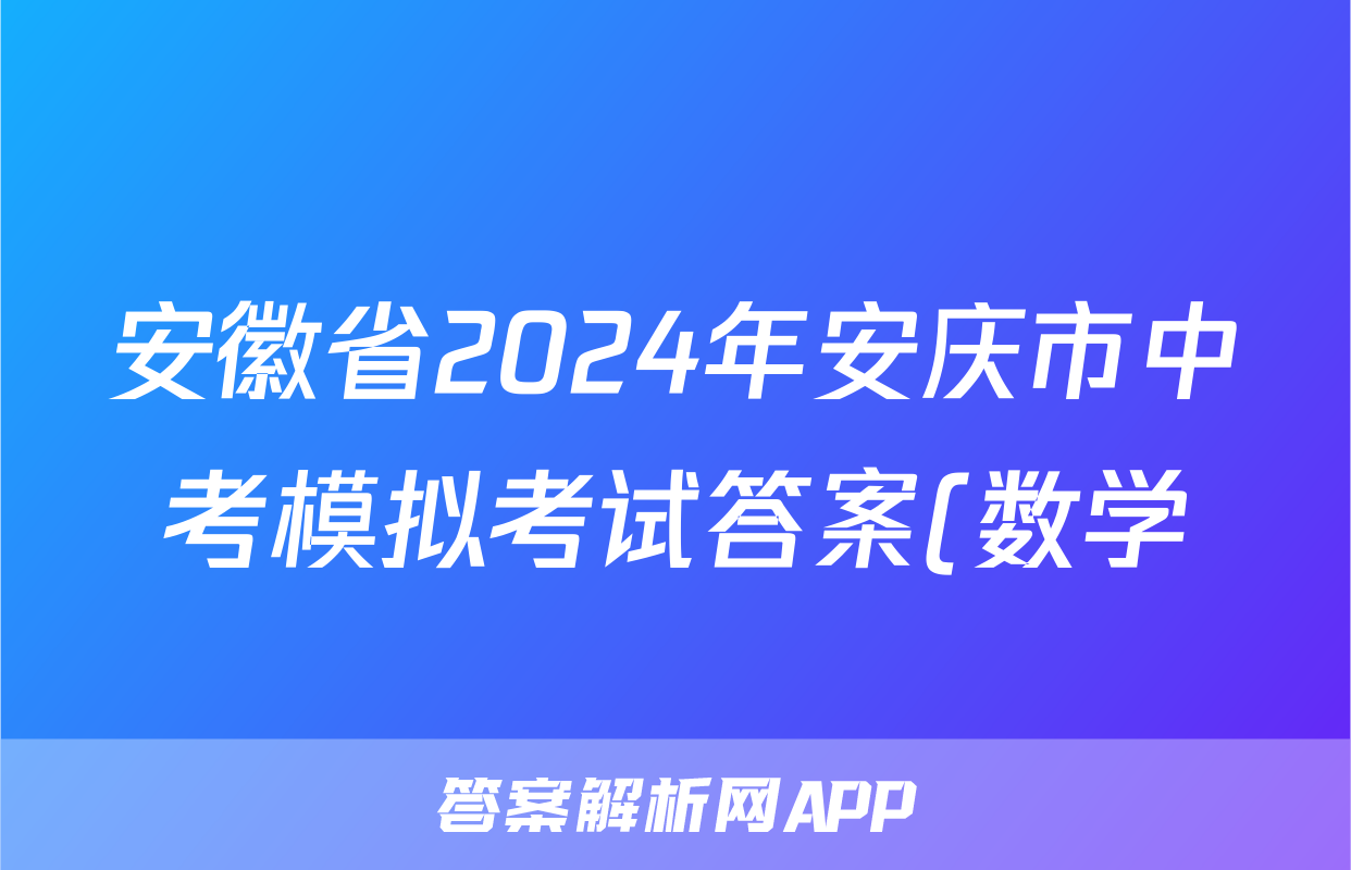 安徽省2024年安庆市中考模拟考试答案(数学)