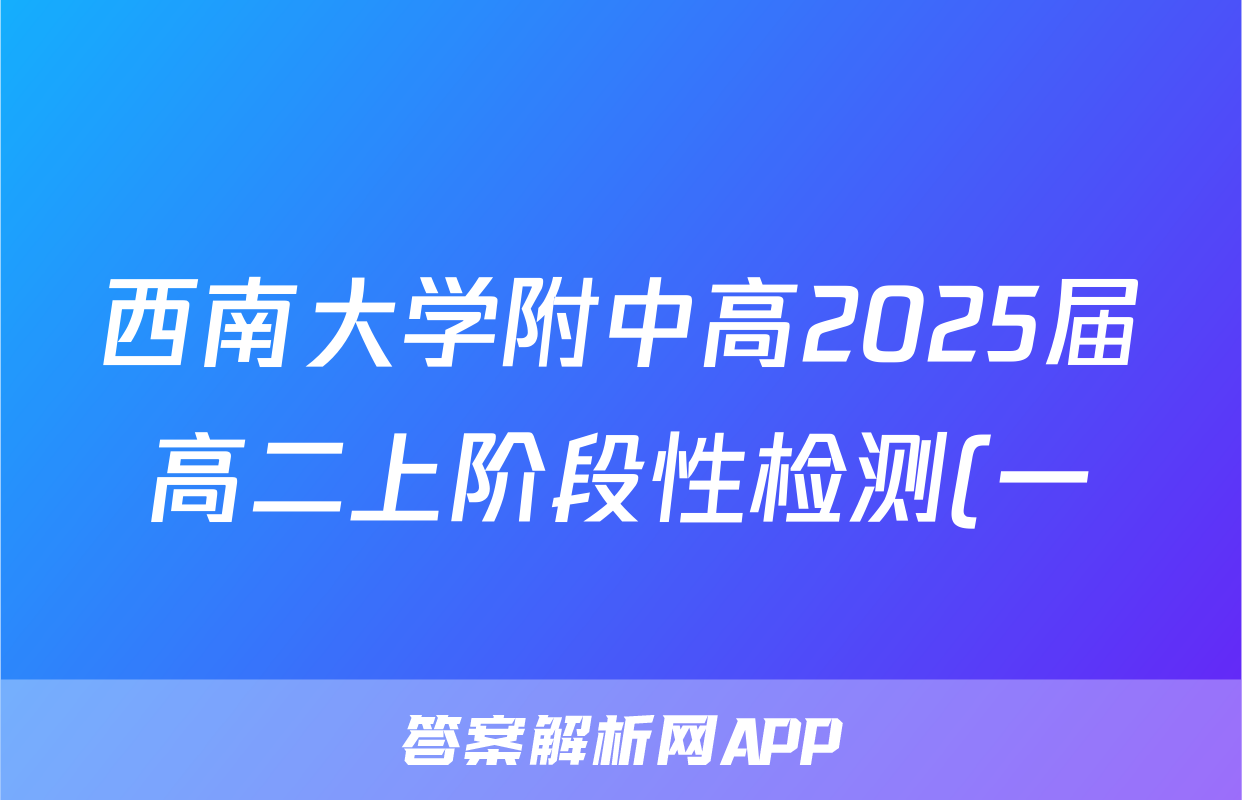 西南大学附中高2025届高二上阶段性检测(一)x物理试卷答案